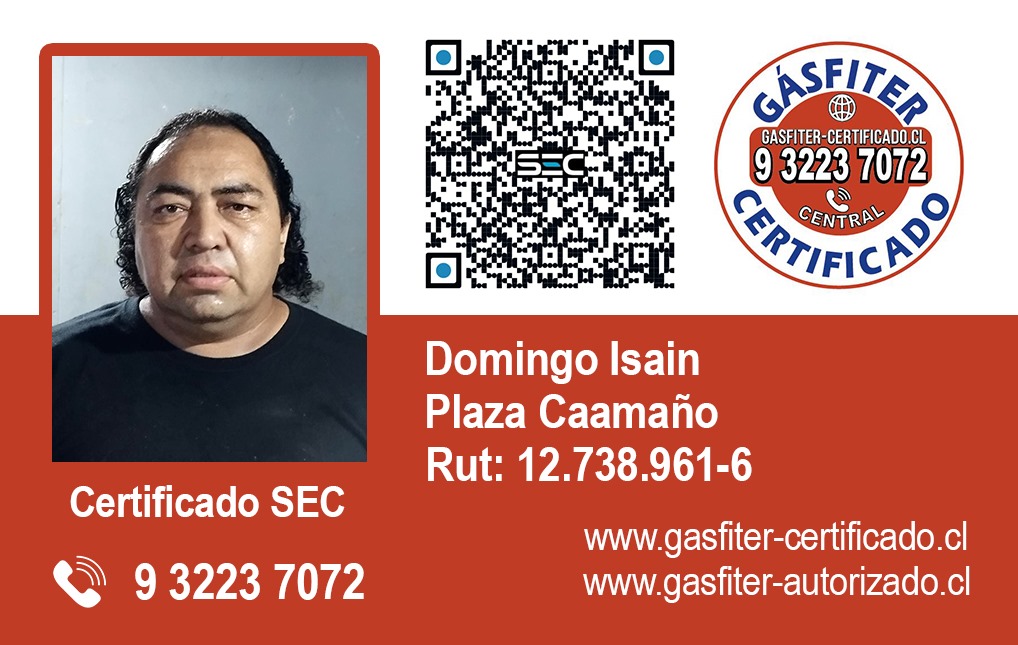 Domingo Isaín Caamaño - Instalador Certificado SEC
