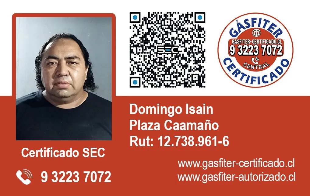 Domingo Isaín Caamaño - Instalador Autorizado SEC